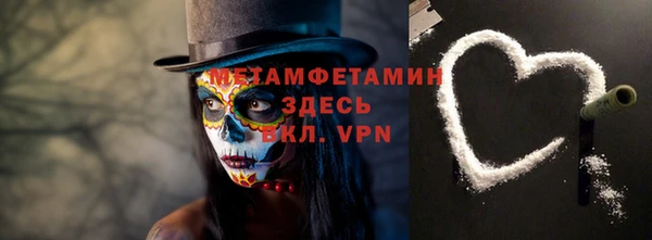 сатива Новокубанск