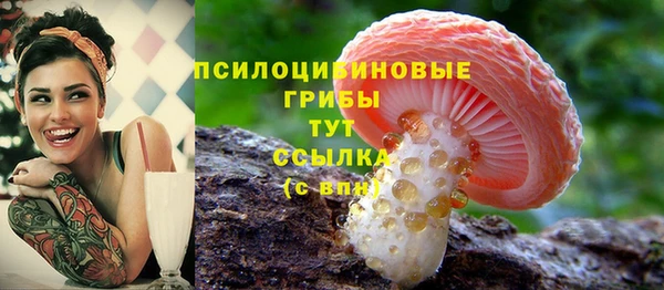 дурь Протвино